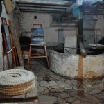 Proslava Svetog Tripuna 2018.