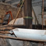 Sa skupa u Tivtu – foto Boka News