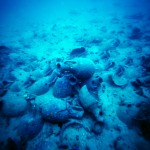 Amforiste ispred Boke Kotorske