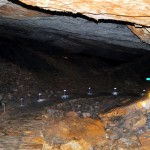 Sa pressa opština Tivat