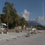 Tivat_pine thumbnail