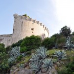 Tvrđava Punta Oštro