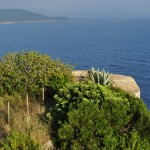 Obnova Gospe od Anđela