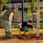 _MG_8401_resize