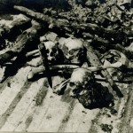 img102-ostatci poginulih na brodu Cetinje_resize