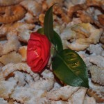 Papalada ala maka – Kotor 2015