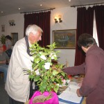 „Camellia Trophy“ 2015.