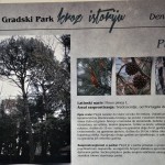 Gradski park Tivat – izložba