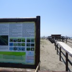 Ulcinj – Velika plaža