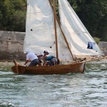 Fašinada kup 2015.