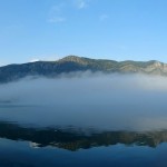 Priča u priči – On line izložba autor Ivka Janković