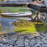 Priča u priči – On line izložba autor Ivka Janković