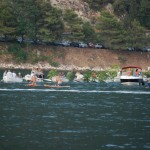 Fašinada 2015.