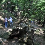 Gornji Stoliv – Foto Boka News