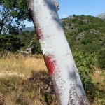 Farbali dalekovode al i markacije planinarskih staza, stabla…