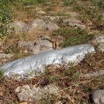 Farbali dalekovode al i markacije planinarskih staza, stabla…