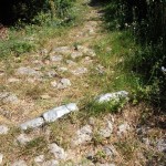Farbali dalekovode al i markacije planinarskih staza, stabla…