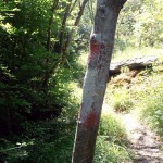 Farbali dalekovode al i markacije planinarskih staza