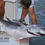 Big game fishing H.Novi 2015. prvi dan