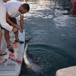Big game fishing H.Novi 2015. prvi dan