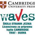 waves-sb