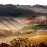 Balkan wine expo 2015.