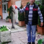 OKTOBAR – drugo mjesto – Srećko Andričić  brancin 7.5kg