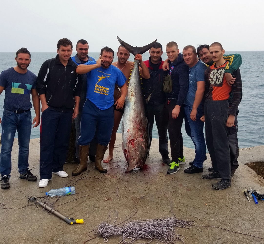 Ulov mjeseca oktobra tuna 86,5 kg, novembra gof 34,8kg