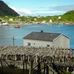 Bakalar sušenje Norveška