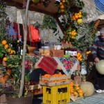 Maslinijada Bar 2015. – foto Anto Baković