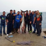 DRUGO MJESTO 2015  – Adnan Sejdić – tuna 86kg