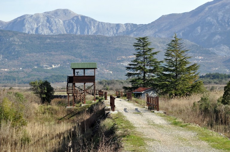 Uprkos zabrani lovci u Rezervatu prirode  Solila u Tivtu