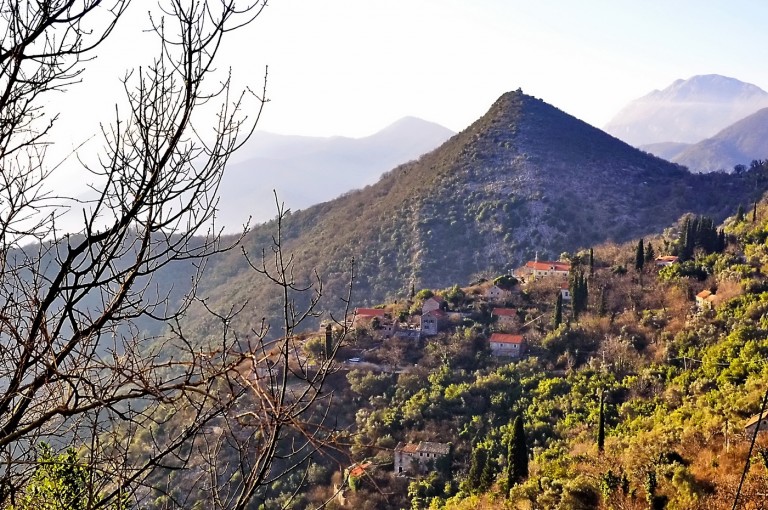 Tivat – Plan pošumljavanja