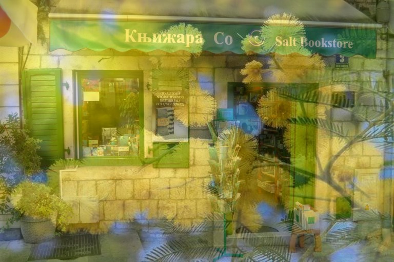 So u znaku mimoze