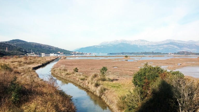 Slovenci će izraditi Studiju za regulisanje vodotoka i kanala u rezervatu “Tivatska Solila”