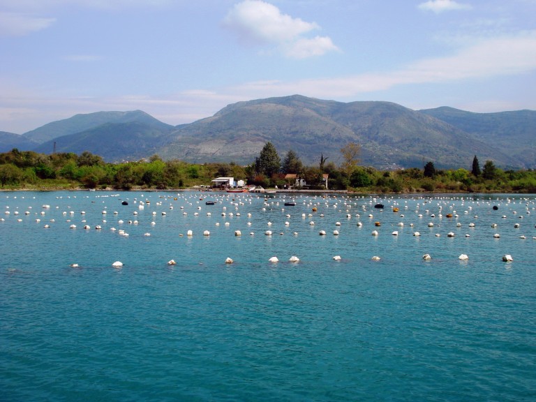 Tivat – 20 hiljada eura za pomoć agraru