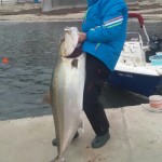 prvo mjesto Mišo Vukašinović – gof 44kg_resize