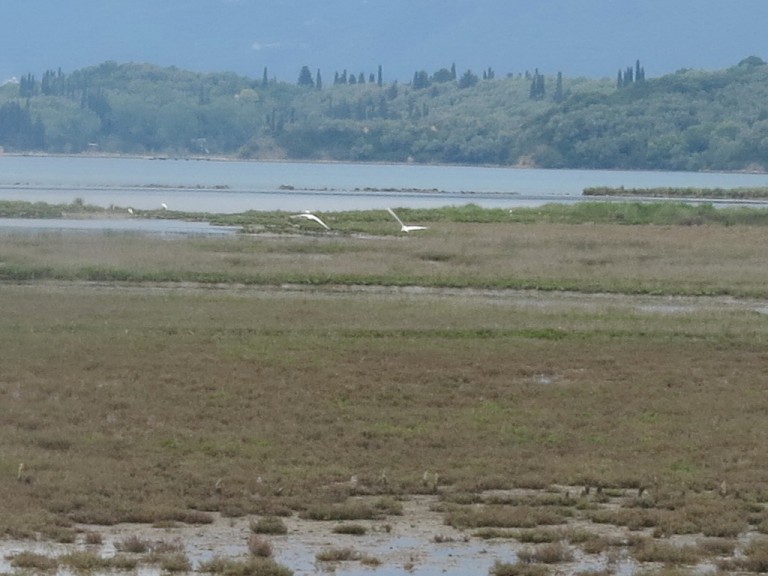 Posmatrali ptice u ornitološkom rezervatu