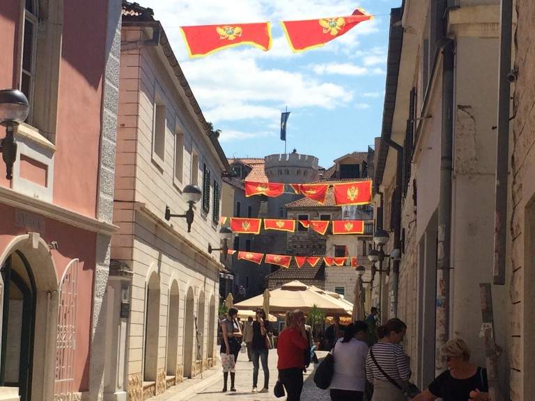 Akcija – „Očistimo Herceg – Novi za jedan dan“