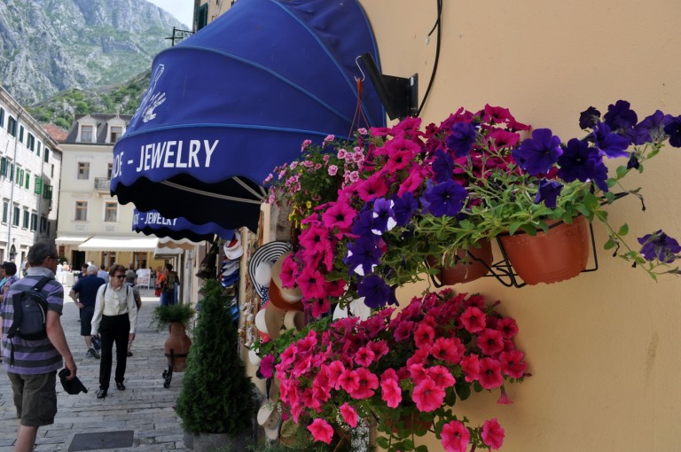 Kotor – rast prihoda od zakupa poslovnih prostora, bez privilegovanih