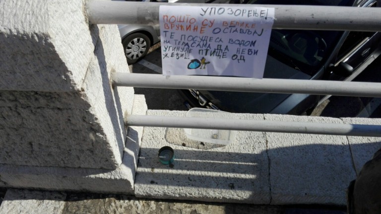 Humana i simpatična poruka iz Herceg – Novog dala rezultate