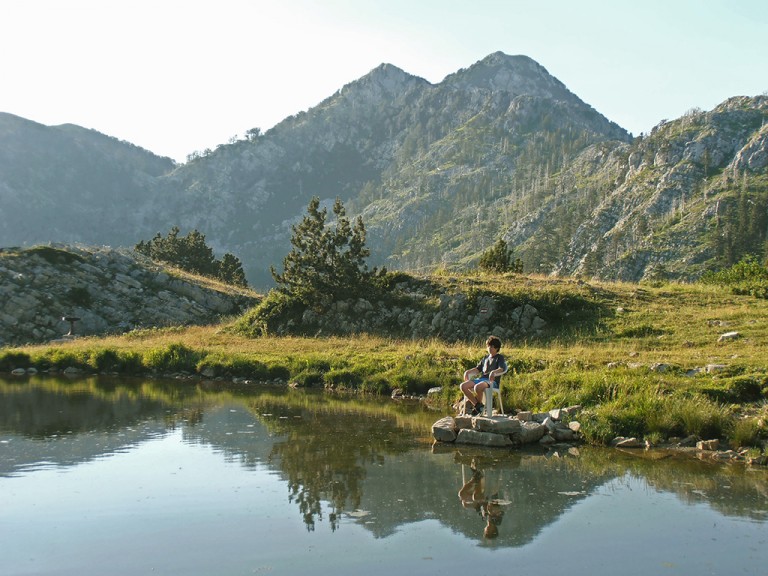 Integracija samoniklog jestivog bilja u turističku i kulinarsku ponudu južnog Jadrana…