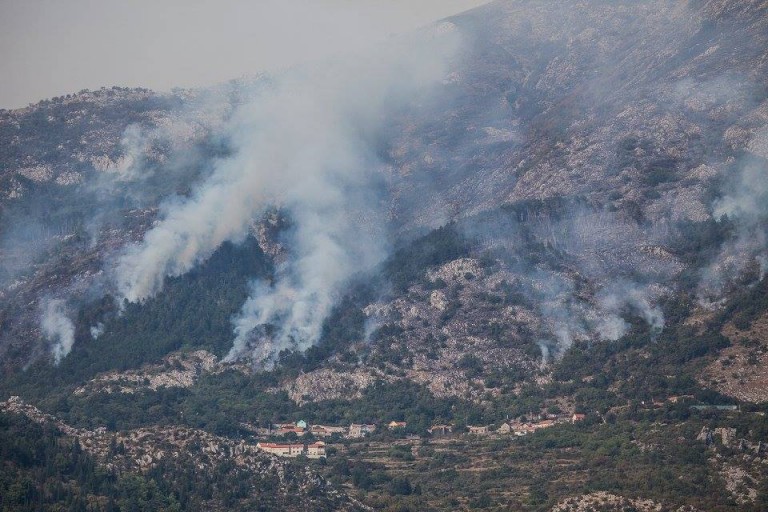 Kotor: Požar pod kontrolom