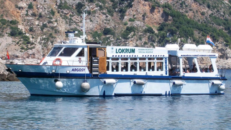 Dogodine u planu uvođenje nove linije za vaporetto