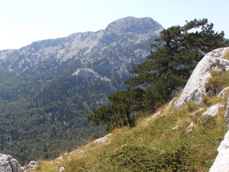 Orjen – obilježavanje Svjetskog dana čistih planina