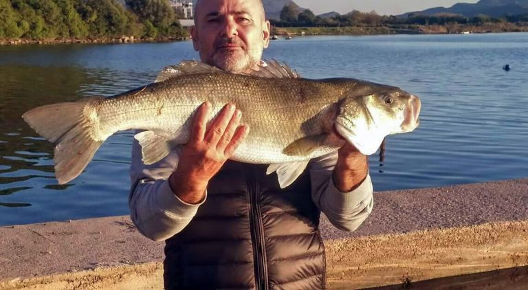 Ljubojeviću “Ulov mjeseca” za oktobar