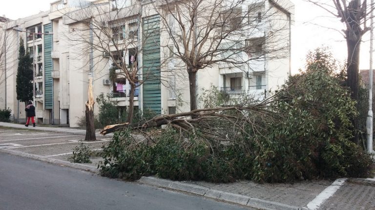 Jahte pokidane sa veza, oboreno drveće i oštećeni automobili