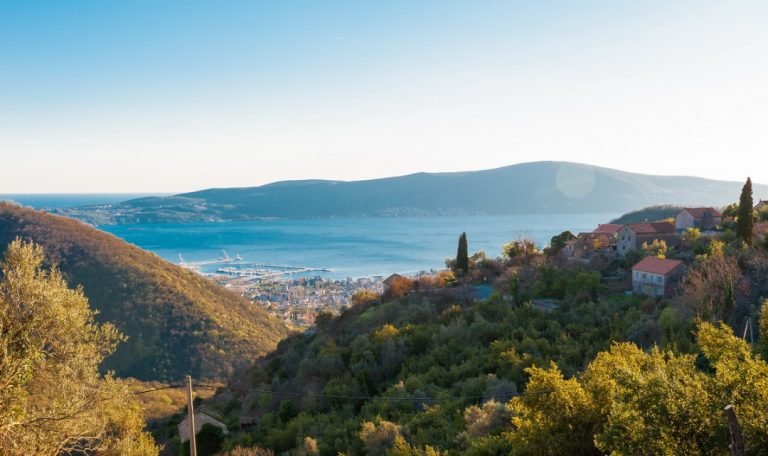Maslina kao resurs i turistički potencijal
