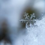 pexels-photo-57812
