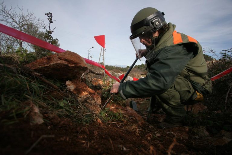 U šibenskoj šumi pronađeno 198 bombi iz Drugoga svjetskoga rata
